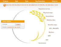 wheat URGI website home page