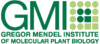 logo GMI