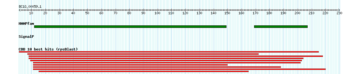 no mapping result, so no link to the Genome Browser