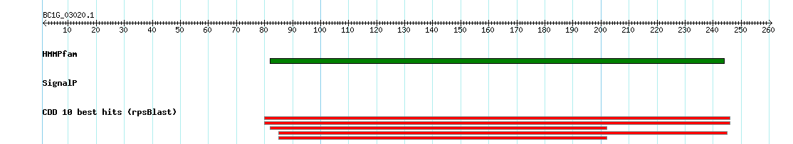 no mapping result, so no link to the Genome Browser