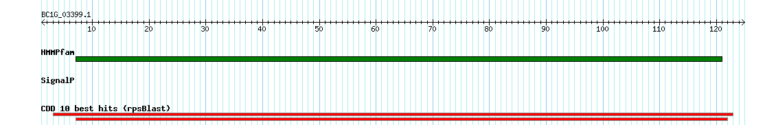 no mapping result, so no link to the Genome Browser
