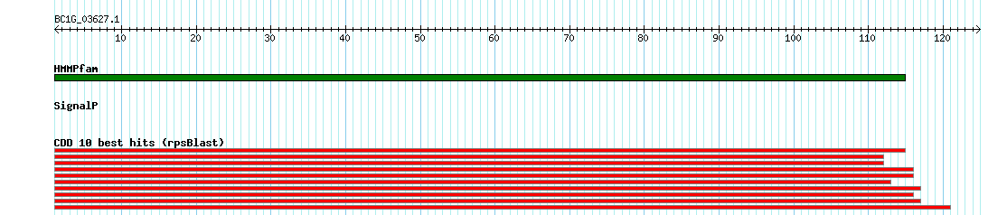 no mapping result, so no link to the Genome Browser