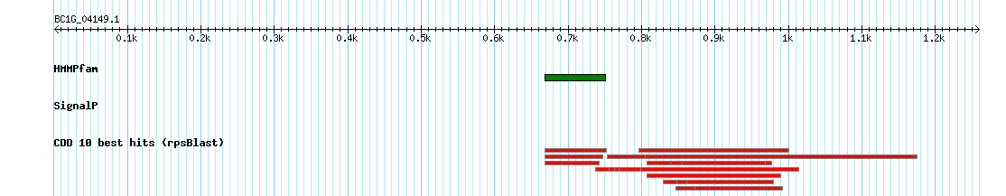 no mapping result, so no link to the Genome Browser