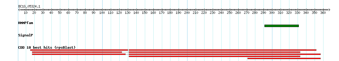 no mapping result, so no link to the Genome Browser