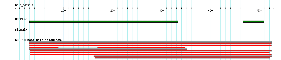 no mapping result, so no link to the Genome Browser