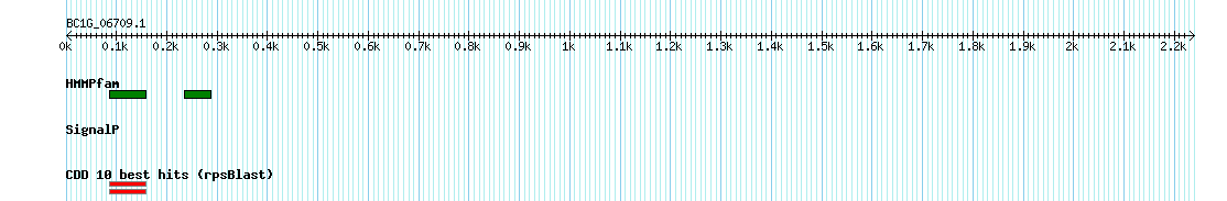 no mapping result, so no link to the Genome Browser