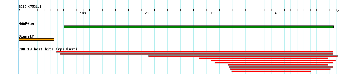 no mapping result, so no link to the Genome Browser