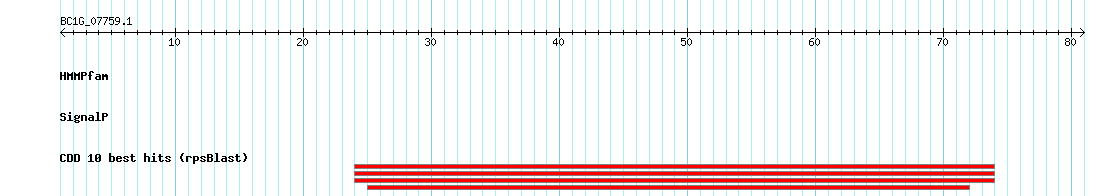 no mapping result, so no link to the Genome Browser