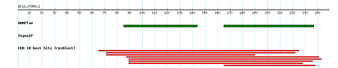 no mapping result, so no link to the Genome Browser