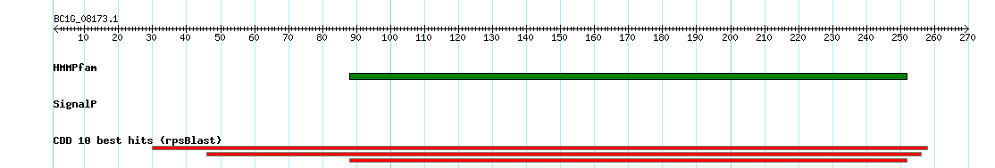 no mapping result, so no link to the Genome Browser
