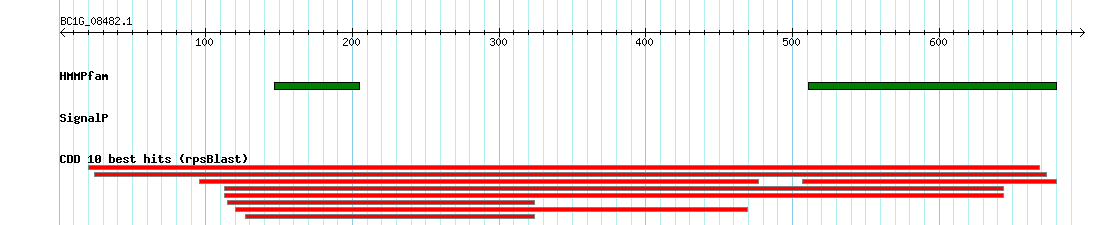 no mapping result, so no link to the Genome Browser