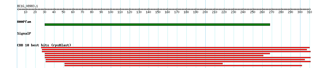 no mapping result, so no link to the Genome Browser