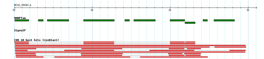 no mapping result, so no link to the Genome Browser