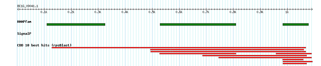 no mapping result, so no link to the Genome Browser