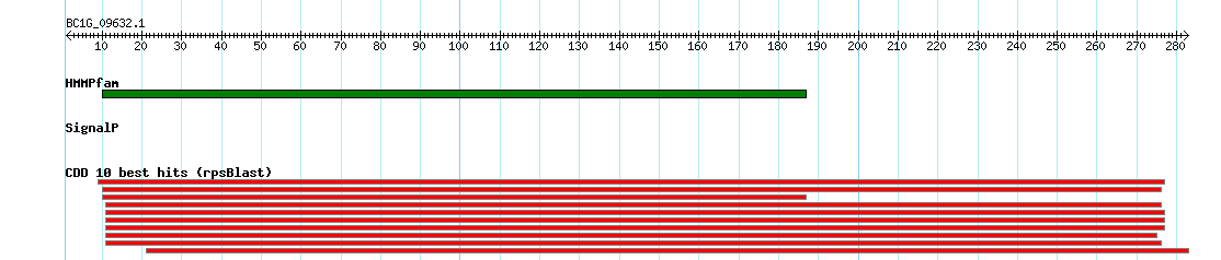 no mapping result, so no link to the Genome Browser