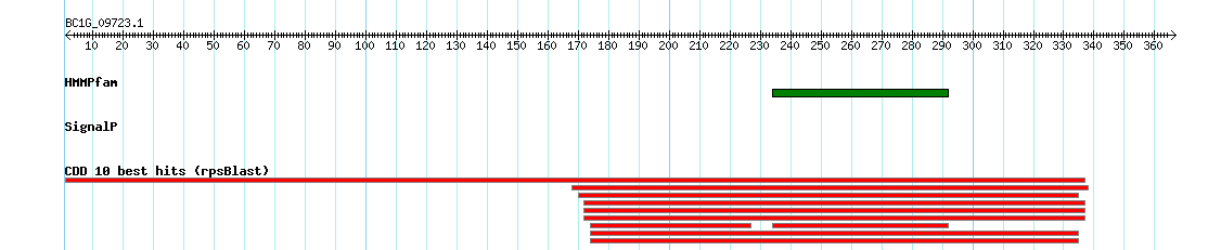 no mapping result, so no link to the Genome Browser