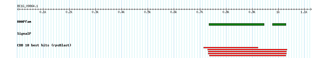 no mapping result, so no link to the Genome Browser