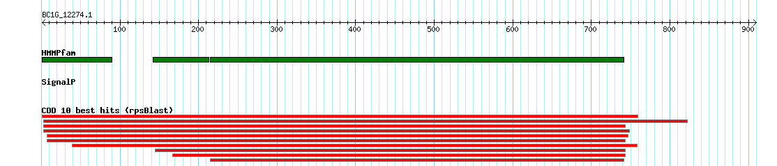 no mapping result, so no link to the Genome Browser