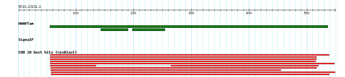 no mapping result, so no link to the Genome Browser