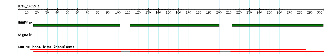 no mapping result, so no link to the Genome Browser