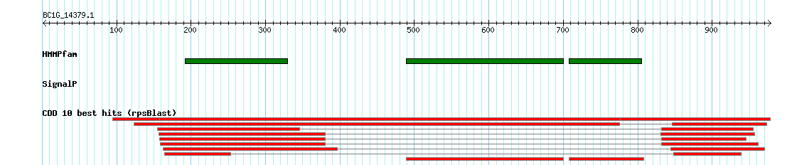 no mapping result, so no link to the Genome Browser