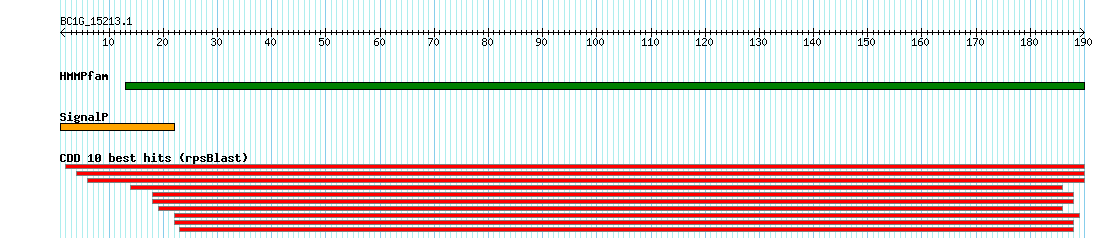 no mapping result, so no link to the Genome Browser
