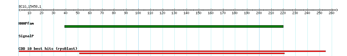 no mapping result, so no link to the Genome Browser