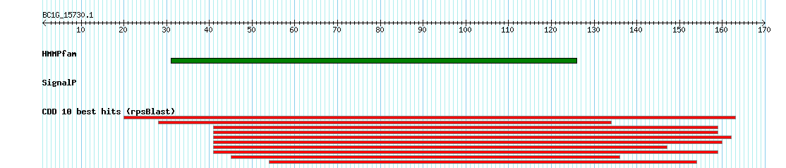 no mapping result, so no link to the Genome Browser