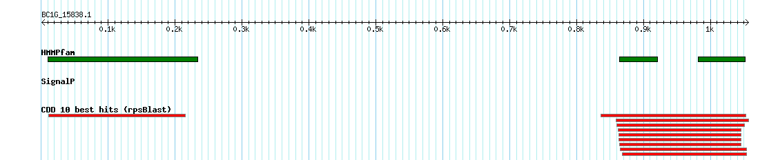 no mapping result, so no link to the Genome Browser