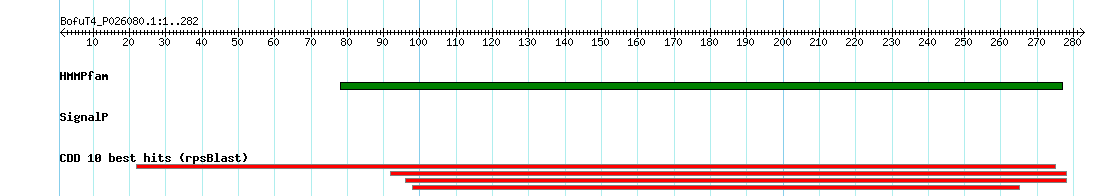 no mapping result, so no link to the Genome Browser