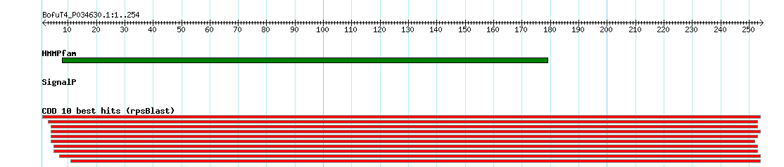 no mapping result, so no link to the Genome Browser