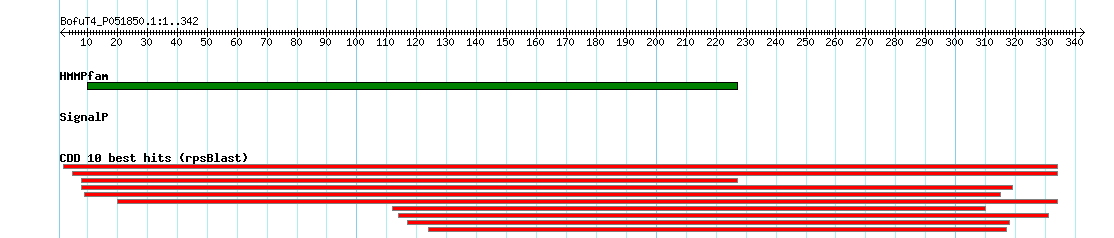 no mapping result, so no link to the Genome Browser