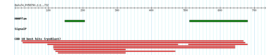 no mapping result, so no link to the Genome Browser