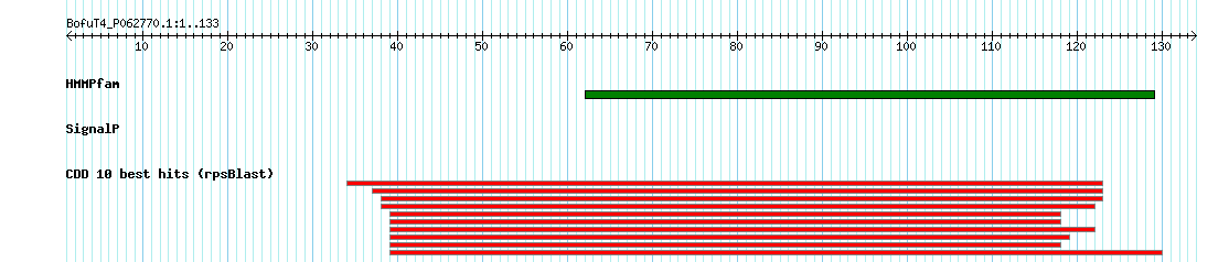 no mapping result, so no link to the Genome Browser