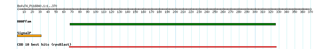 no mapping result, so no link to the Genome Browser
