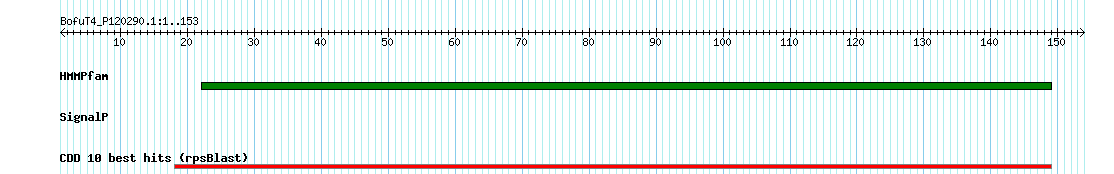 no mapping result, so no link to the Genome Browser