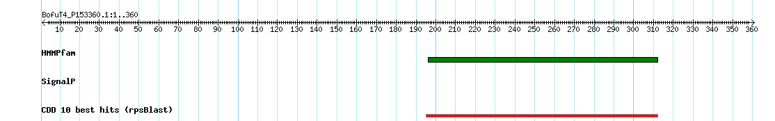 no mapping result, so no link to the Genome Browser