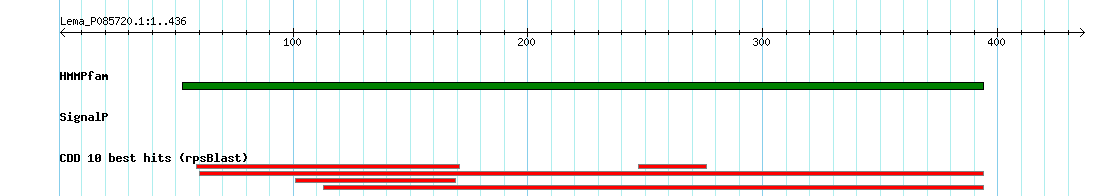 no mapping result, so no link to the Genome Browser