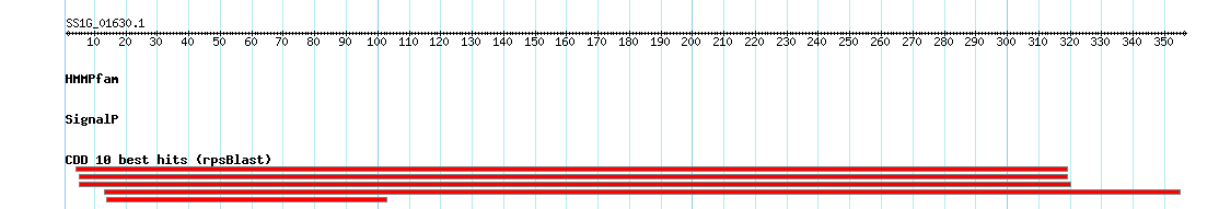 no mapping result, so no link to the Genome Browser