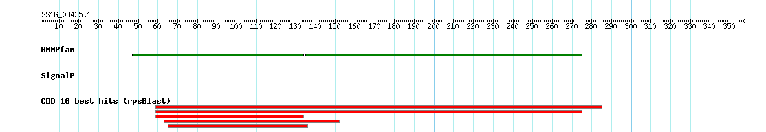 no mapping result, so no link to the Genome Browser