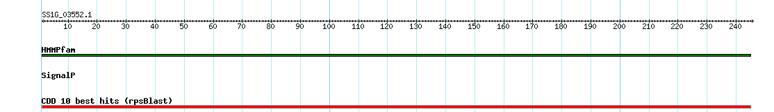no mapping result, so no link to the Genome Browser