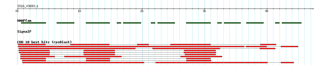 no mapping result, so no link to the Genome Browser