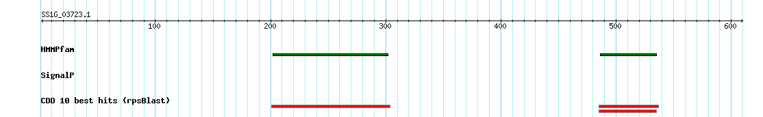 no mapping result, so no link to the Genome Browser
