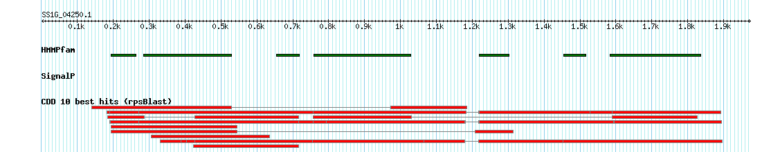 no mapping result, so no link to the Genome Browser