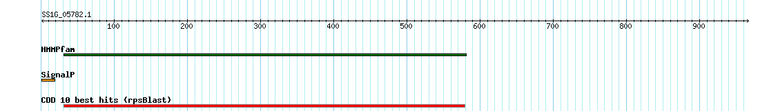 no mapping result, so no link to the Genome Browser