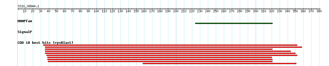 no mapping result, so no link to the Genome Browser