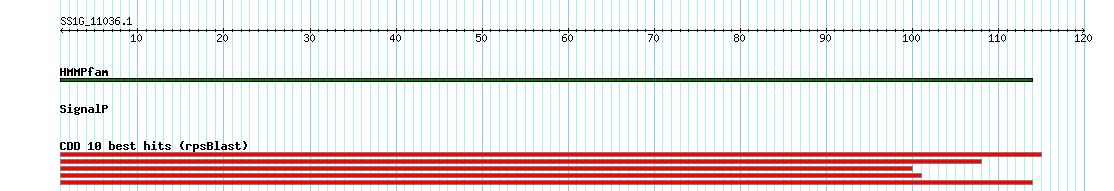 no mapping result, so no link to the Genome Browser