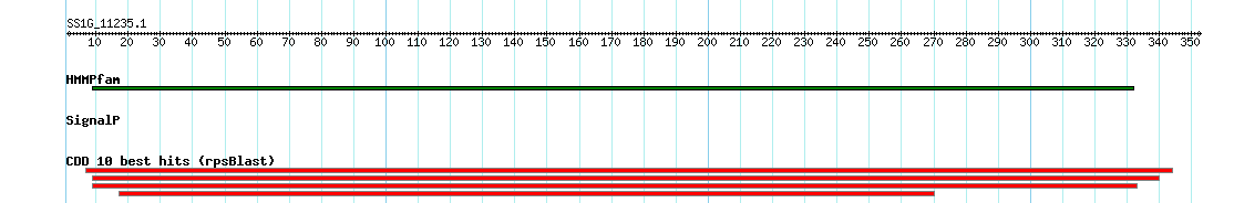 no mapping result, so no link to the Genome Browser